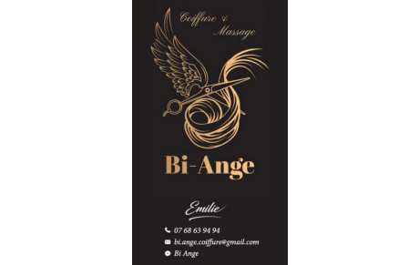 Bi- Ange coiffure- Moulin Neuf